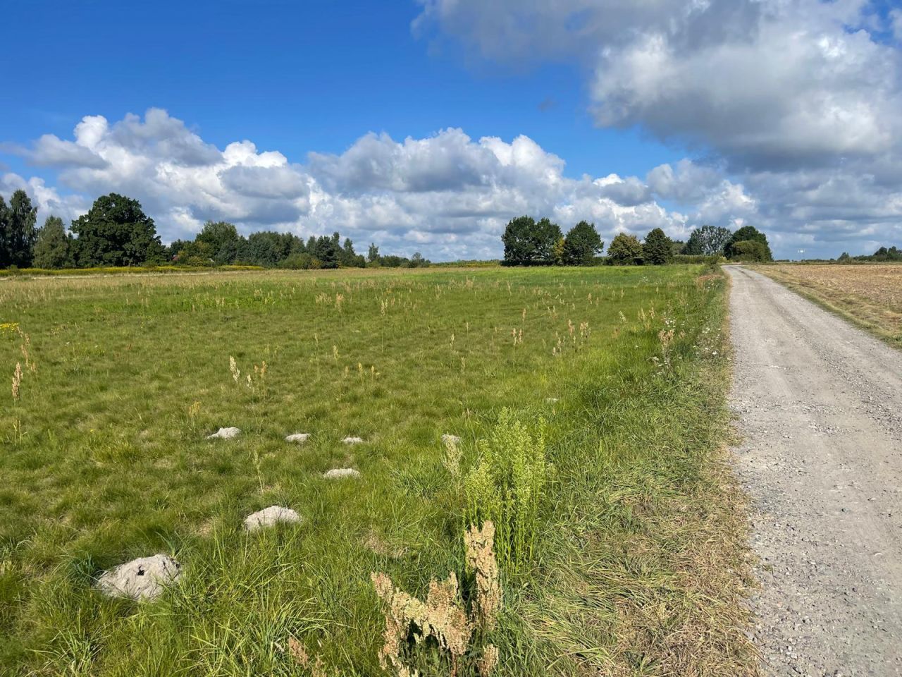 Działka budowlana Łąki. Zdjęcie 11