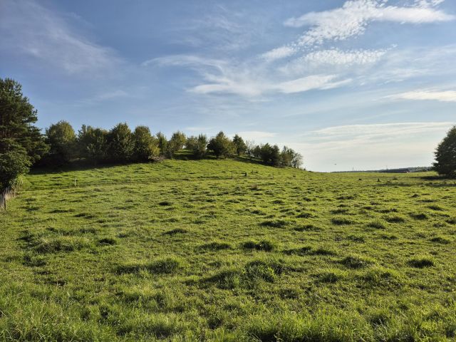 Działka rolno-budowlana Suryty. Zdjęcie 1