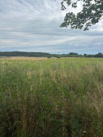 Działka budowlana Miłoszyce. Zdjęcie 1