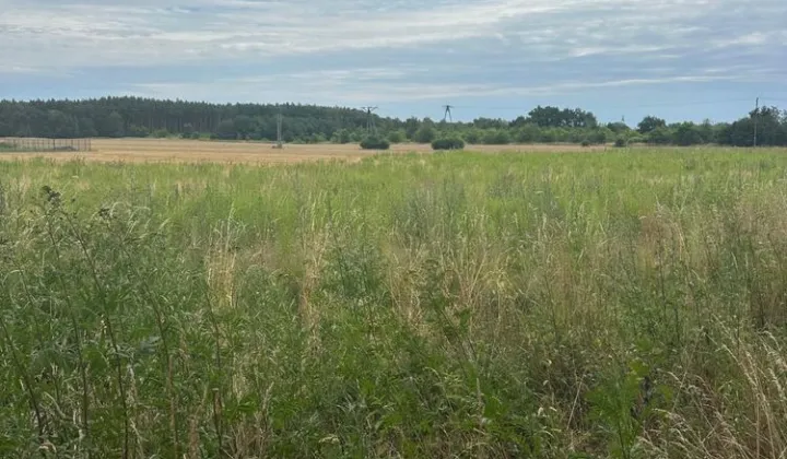 Działka budowlana Miłoszyce