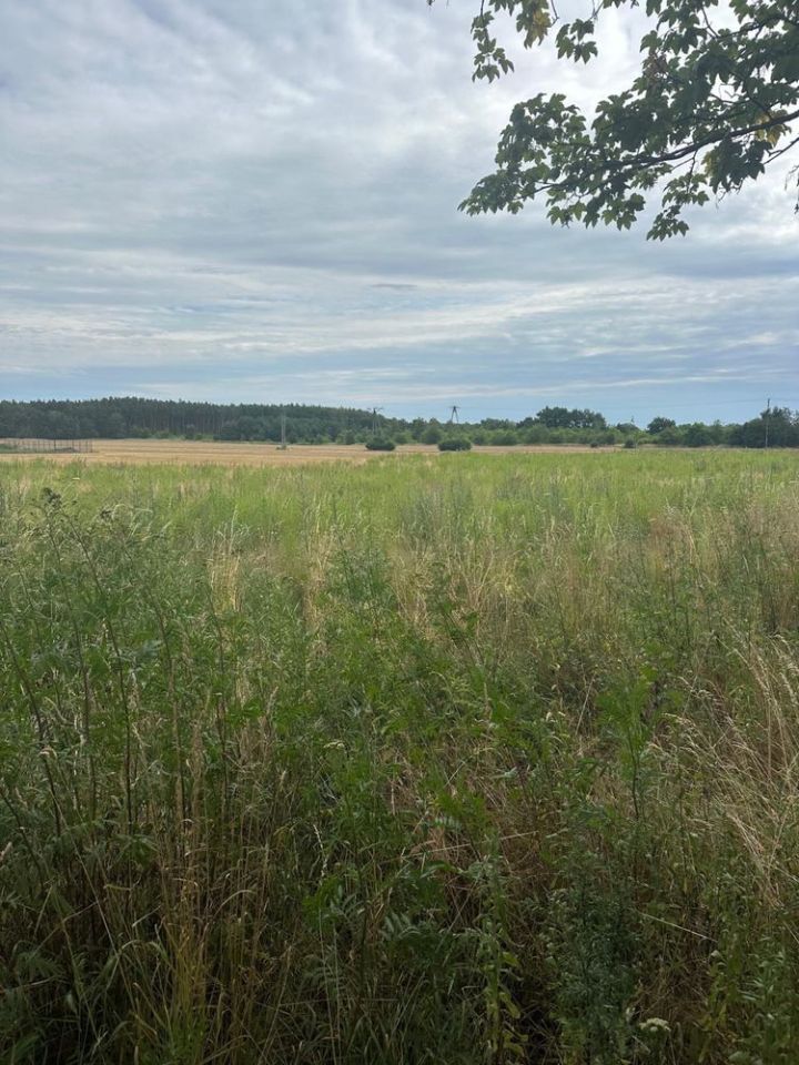 Działka budowlana Miłoszyce