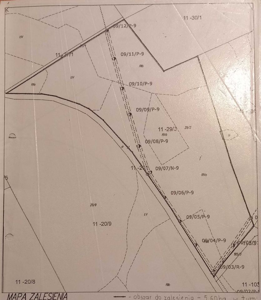 Działka rolna Czarny Kierz