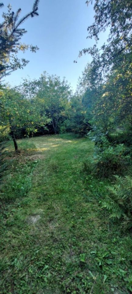 Działka rod Krajowice. Zdjęcie 4