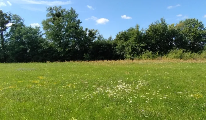 Działka budowlana Sobolew, ul. Podlasie