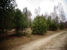 Działka budowlana Stare Polesie. Zdjęcie 4