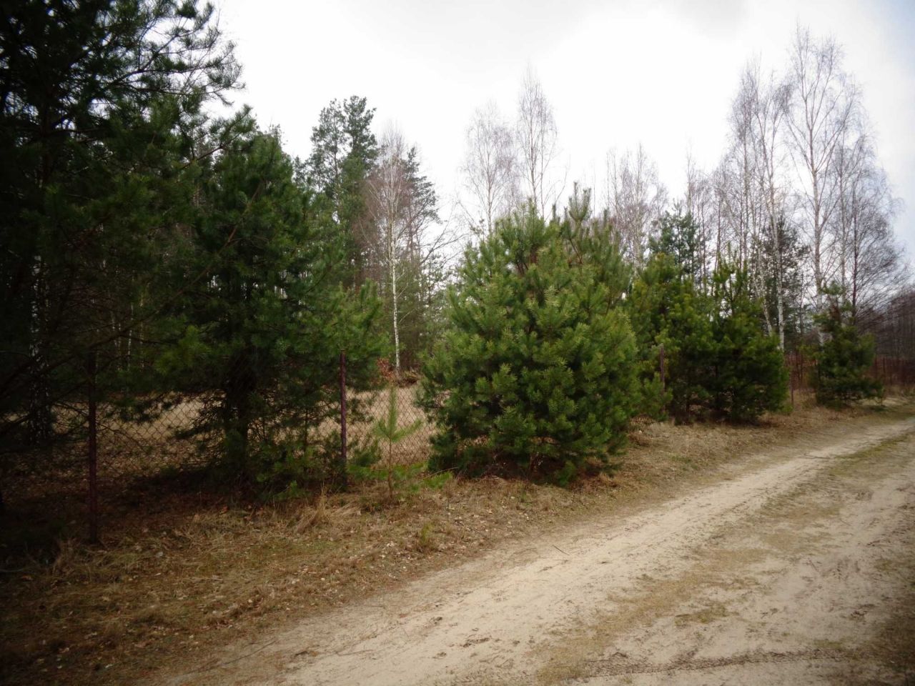 Działka budowlana Stare Polesie. Zdjęcie 5