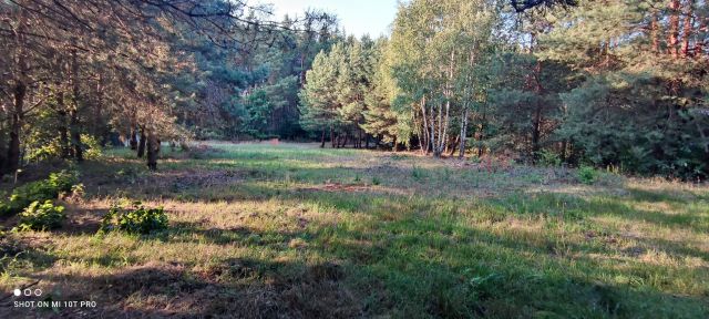 Działka budowlana Ostrówek, ul. Leśna. Zdjęcie 1