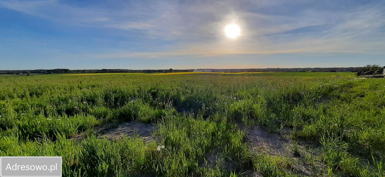 Działka budowlana Szałkowo. Zdjęcie 4