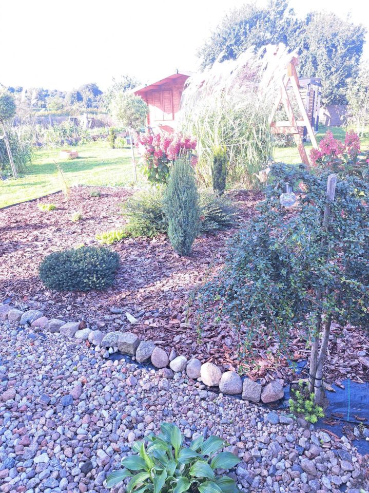 Działka rod Pruszcz Gdański. Zdjęcie 6