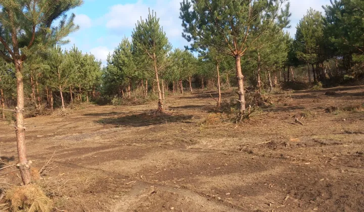 Działka rolna Gucin