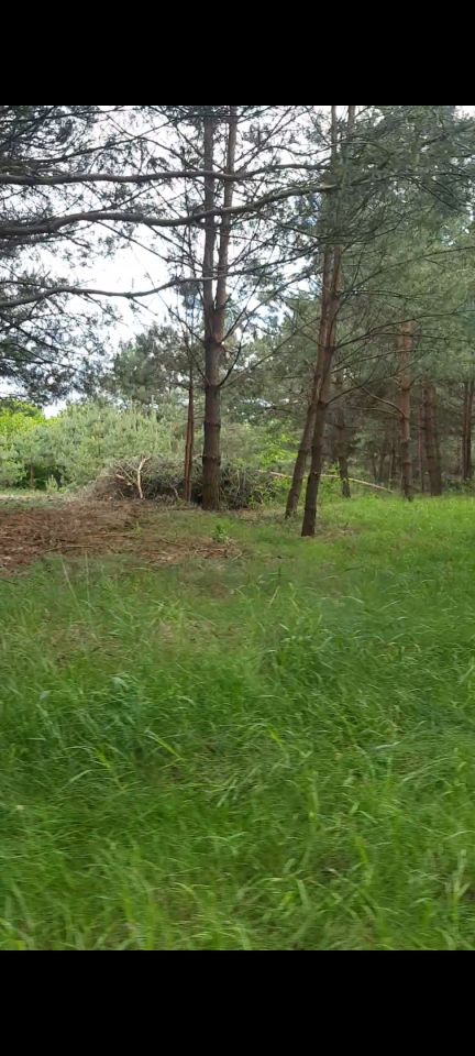 Działka budowlana Doratynka Skaryszewo. Zdjęcie 5