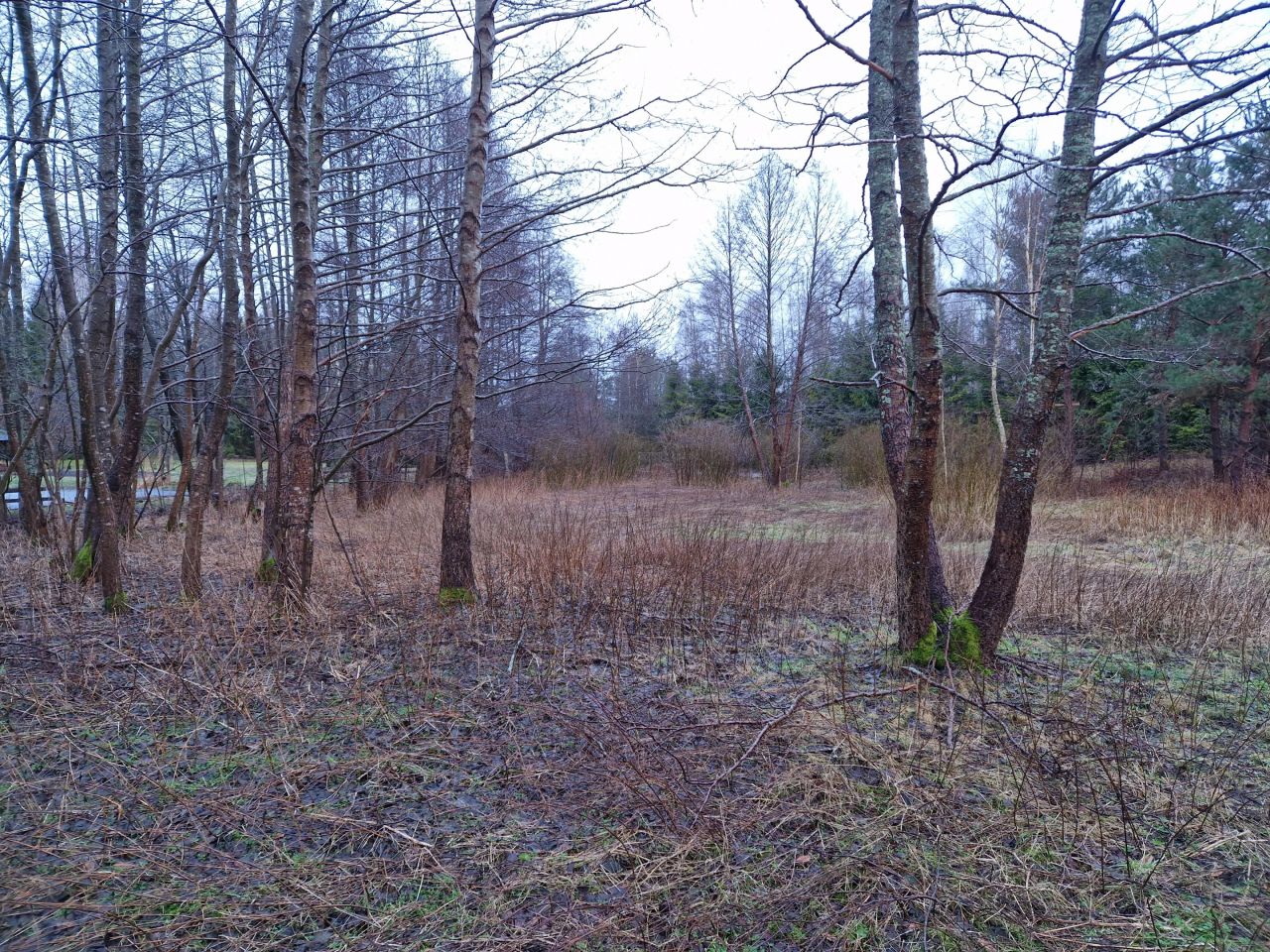 Działka budowlana Bartoszylas. Zdjęcie 10