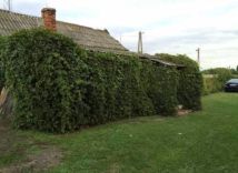 gospodarstwo, 1 pokój Bereżnica. Zdjęcie 2