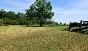 Działka budowlana Młodasko, ul. Kaźmierska