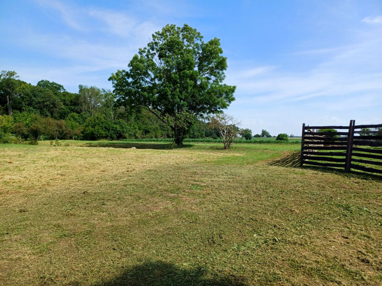 Działka budowlana Młodasko, ul. Kaźmierska. Zdjęcie 2