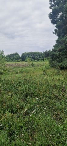 Działka inwestycyjna Wągrowiec. Zdjęcie 7