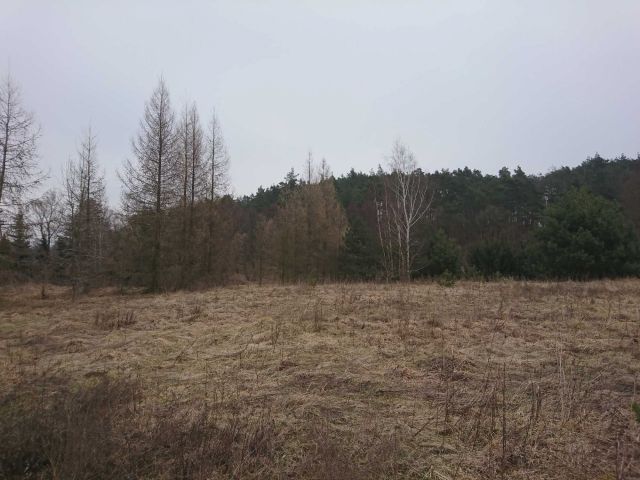 Działka rolno-budowlana Gostynin, ul. Zazamcze. Zdjęcie 1