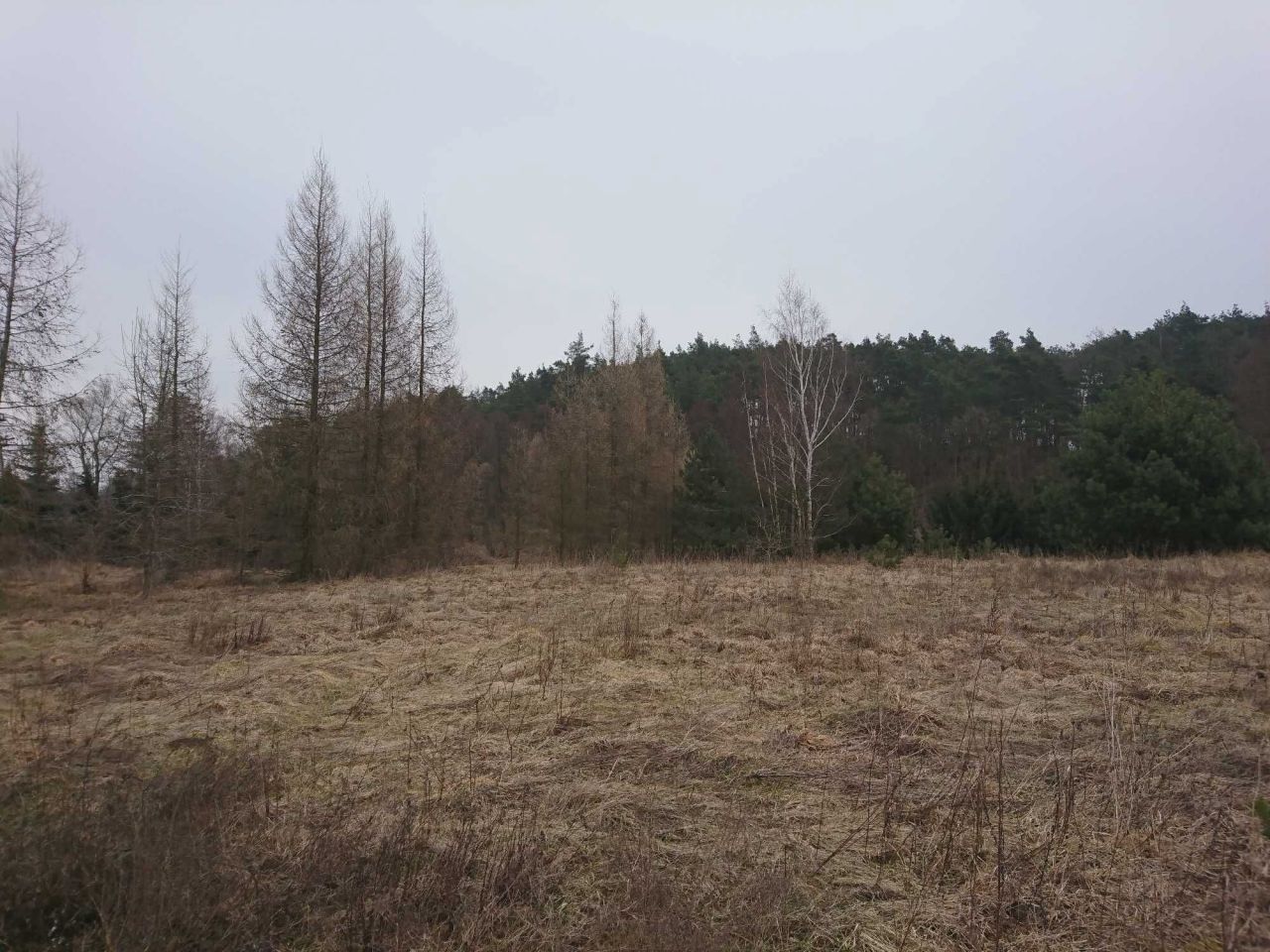 Działka rolno-budowlana Gostynin, ul. Zazamcze