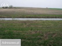 Działka rolno-budowlana Ełganowo, ul. Wesoła. Zdjęcie 1