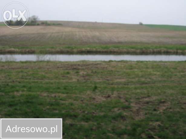 Działka rolno-budowlana Ełganowo, ul. Wesoła. Zdjęcie 2