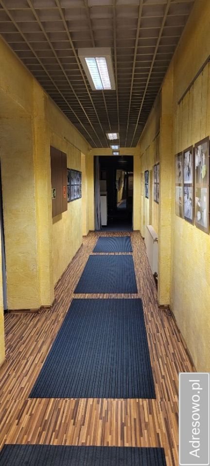 Lokal Gliwice Śródmieście, ul. Kaczyniec. Zdjęcie 5