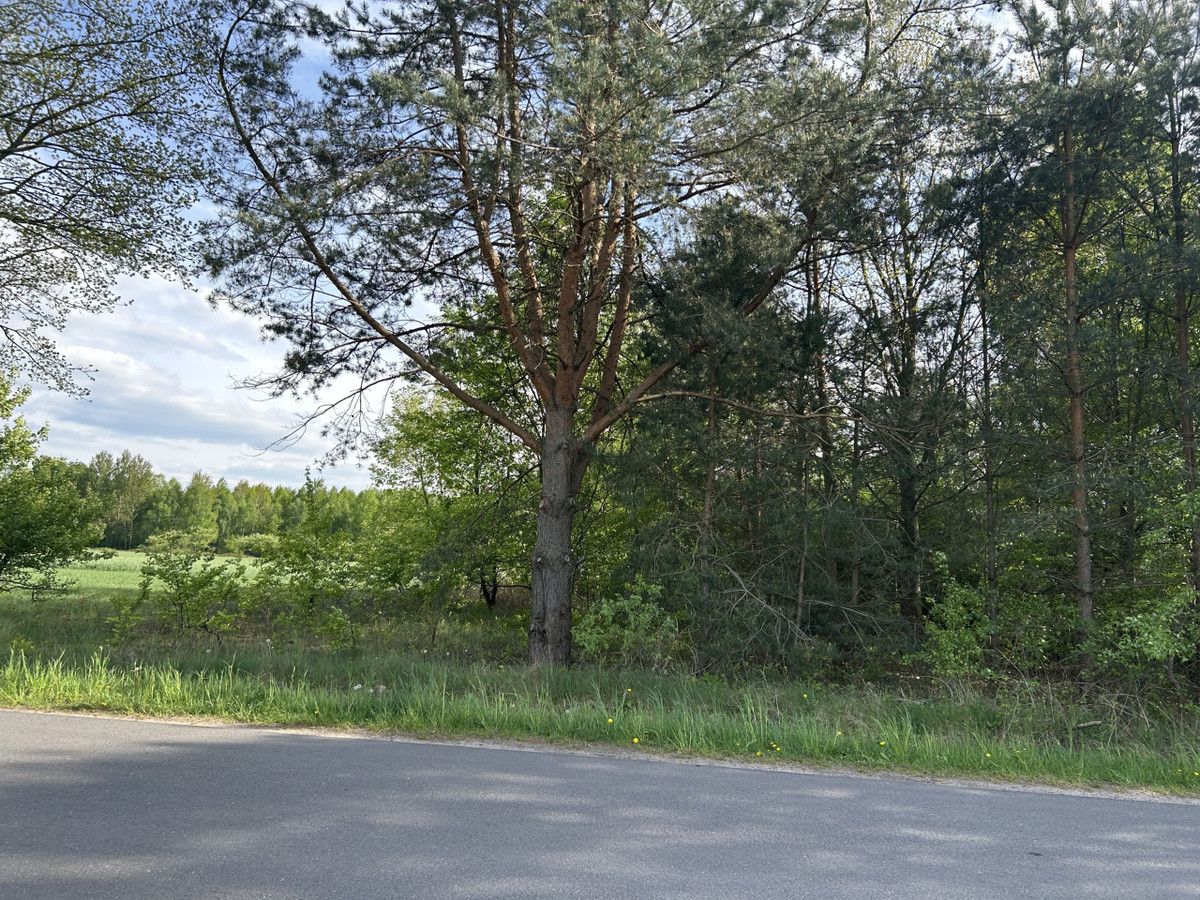 Działka budowlana Kolonia Ldzań. Zdjęcie 5