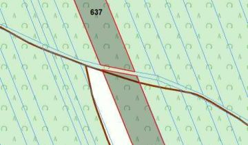 Działka leśna Taluba