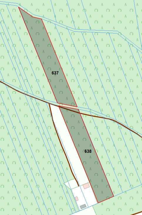 Działka leśna Taluba
