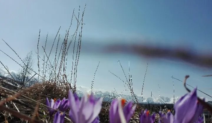 Działka budowlana Jurgów