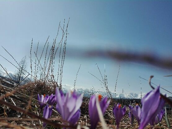 Działka budowlana Jurgów, .