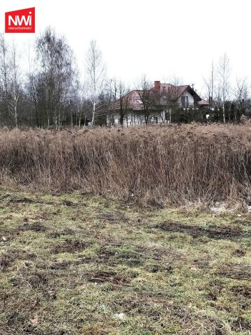 Działka budowlana Mrowiska. Zdjęcie 4