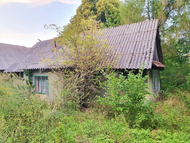 Działka siedliskowa Borek Stary. Zdjęcie 3