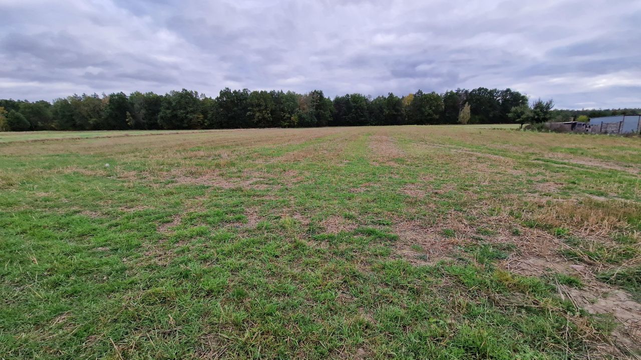 Działka budowlana Sarnów, ul. Akacjowa. Zdjęcie 7