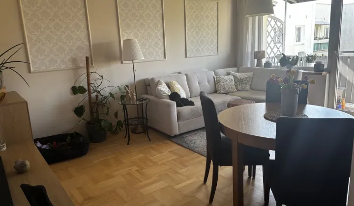 Mieszkanie 4-pokojowe Puławy, ul. 15 Pułku Piechoty "Wilków"