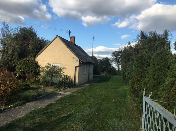 Działka rolno-budowlana Pokrzywna. Zdjęcie 4