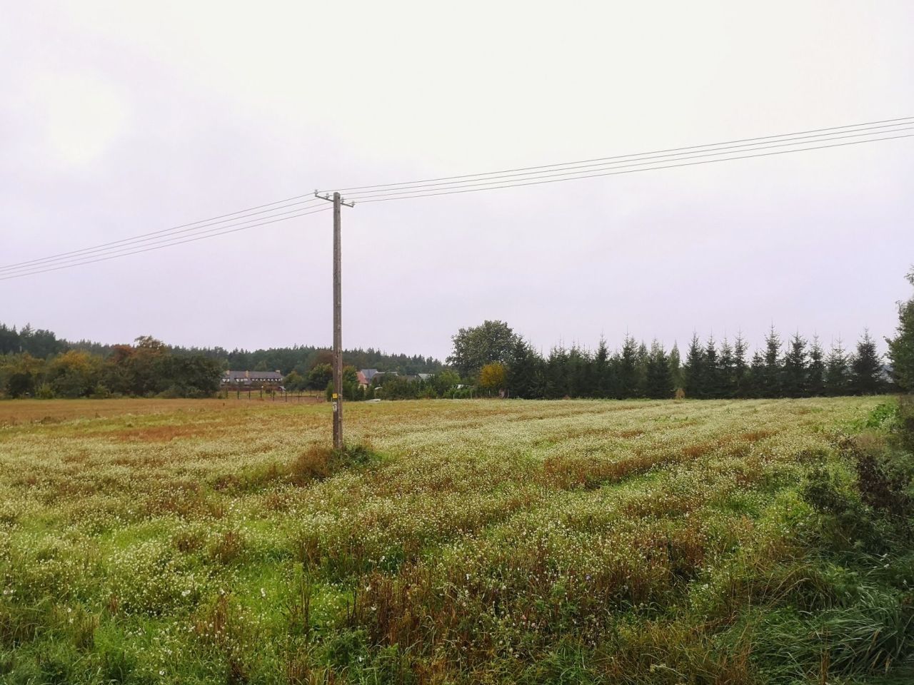 Działka budowlana Mikołajewo. Zdjęcie 3