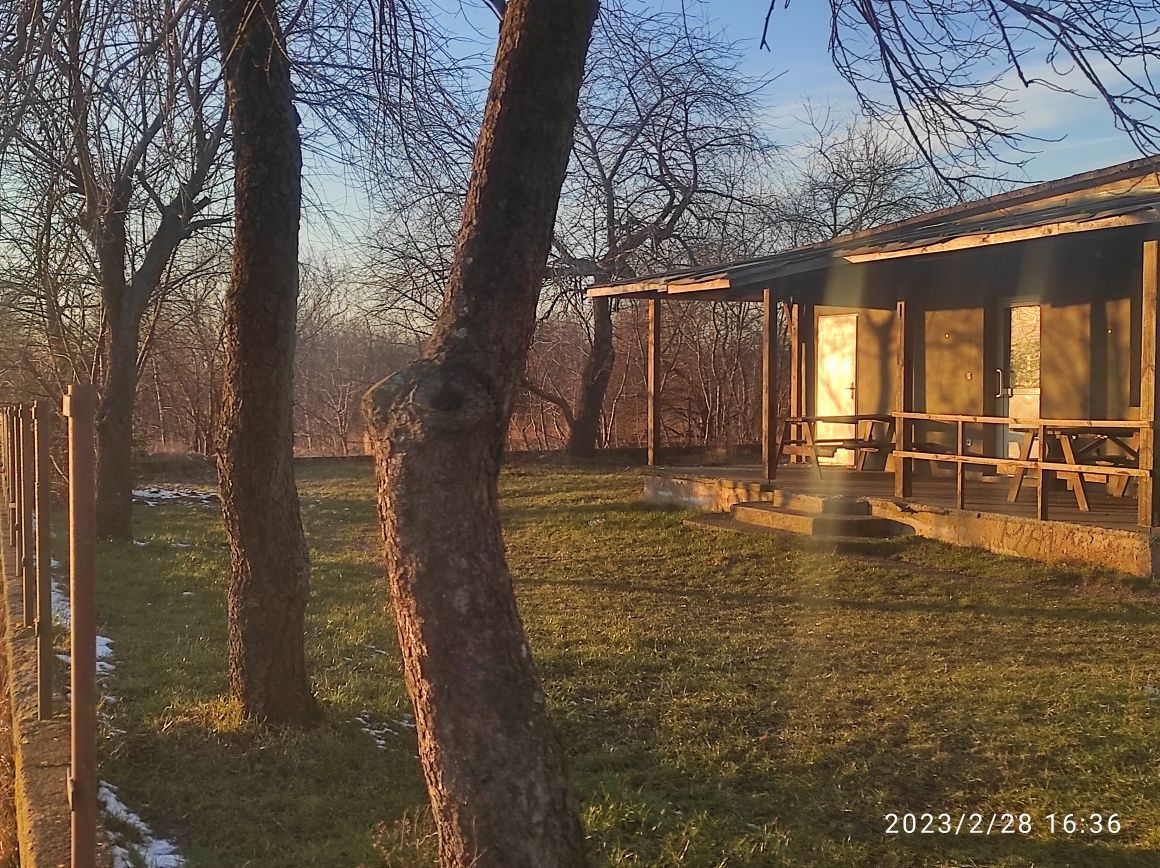 Lokal Rakowo. Zdjęcie 6