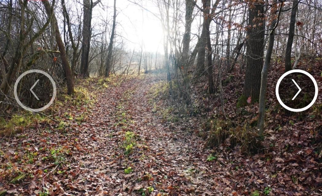 Działka rolno-budowlana Witryłów Rzeki nad Sanem. Zdjęcie 4