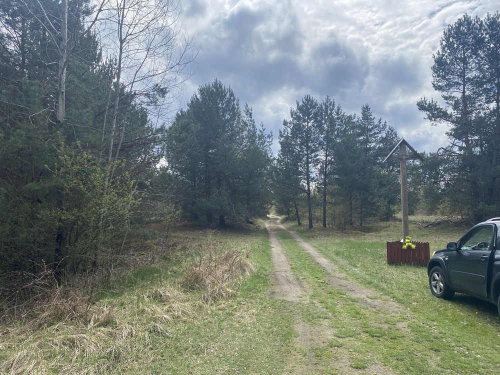 Działka rekreacyjna Szewce. Zdjęcie 5