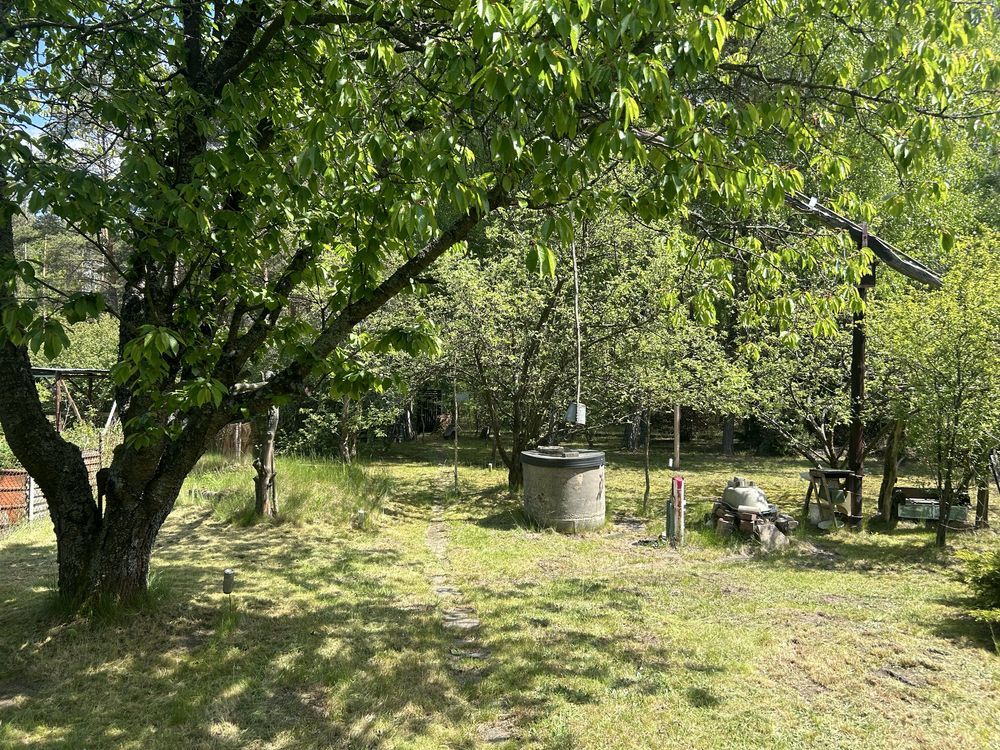 Działka rekreacyjna Turze. Zdjęcie 4