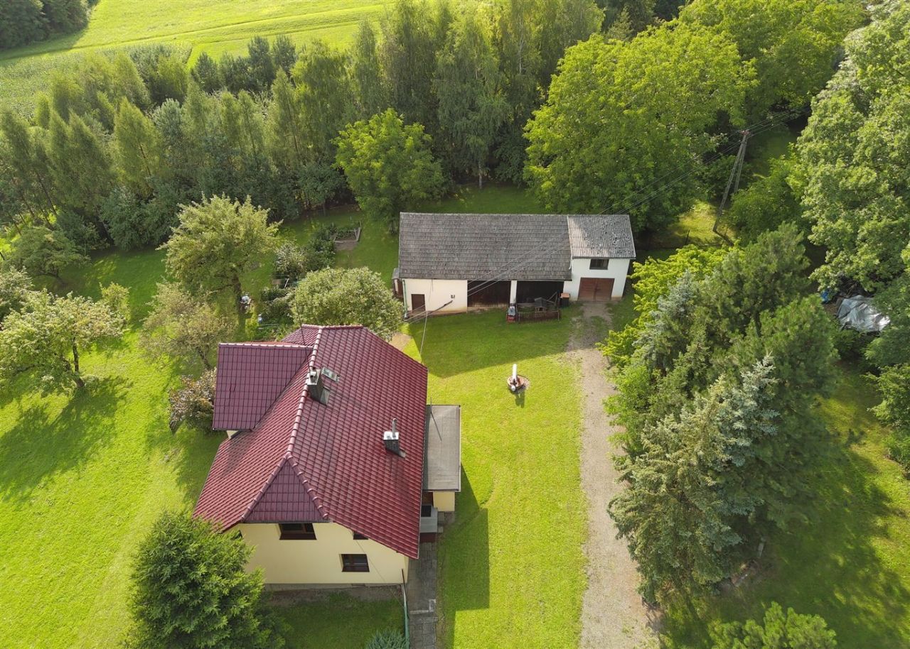 Działka siedliskowa Bielowicko. Zdjęcie 4