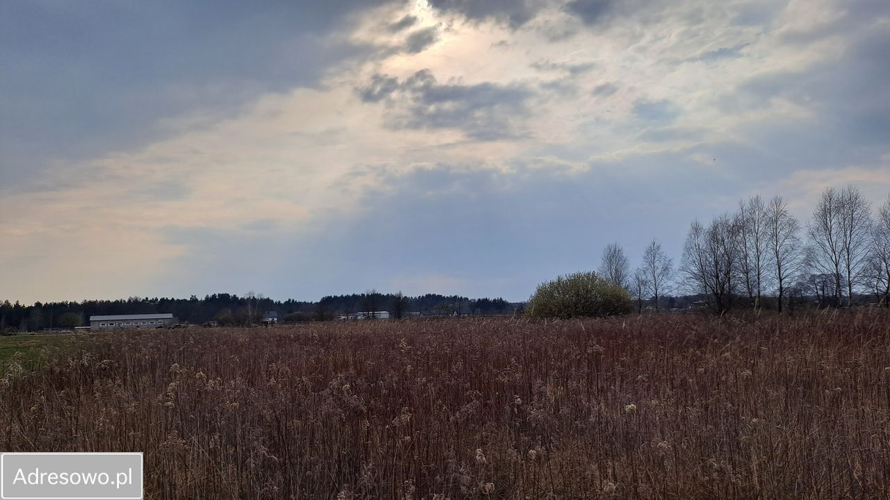 Działka rolno-budowlana Kąck, ul. Myśliwska. Zdjęcie 5