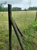 Działka budowlana Kąty Goździejewskie Pierwsze. Zdjęcie 2