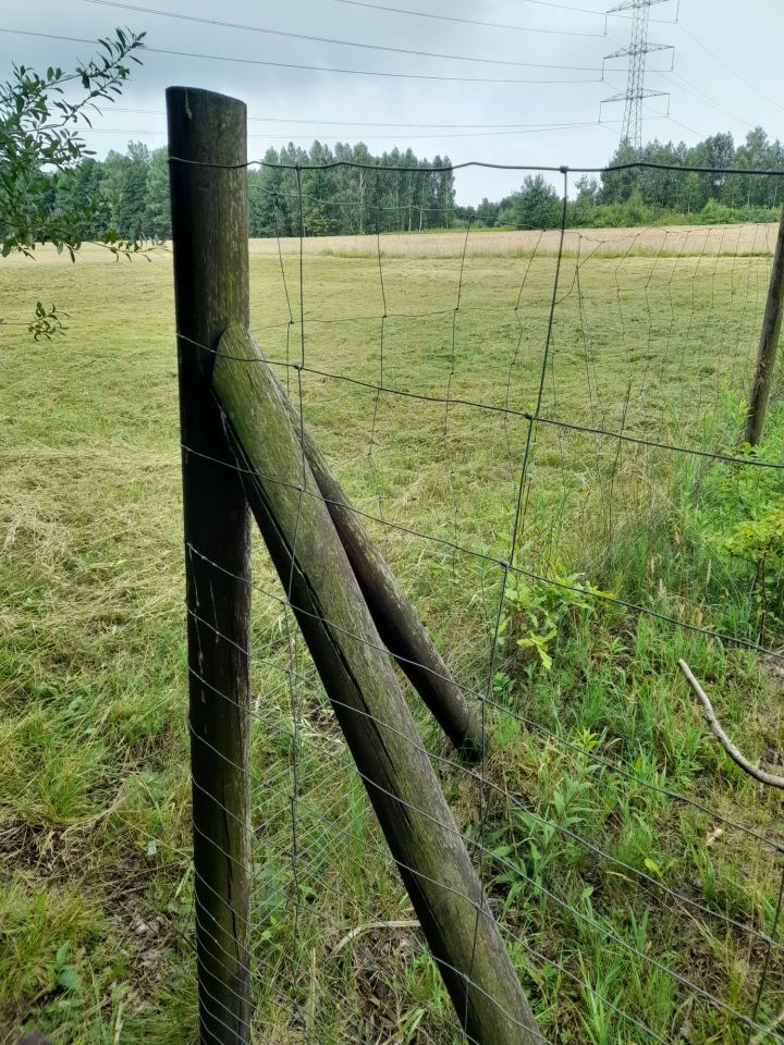 Działka budowlana Kąty Goździejewskie Pierwsze. Zdjęcie 3