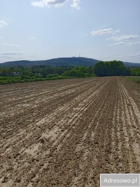 Działka budowlana Stara Słupia. Zdjęcie 2
