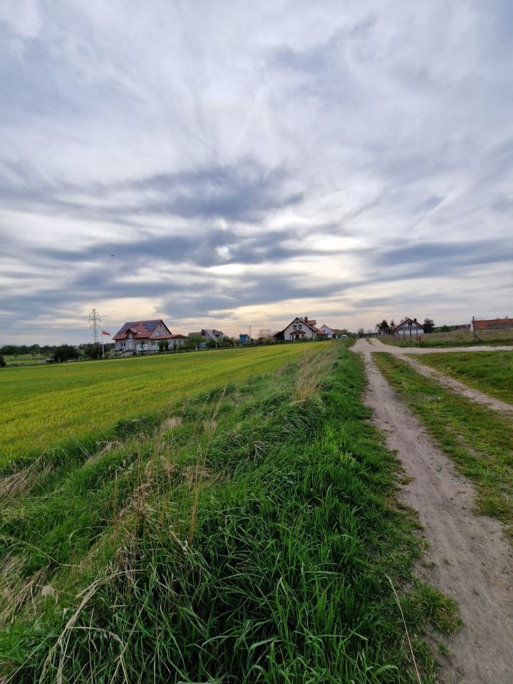 Działka budowlana Święte. Zdjęcie 4