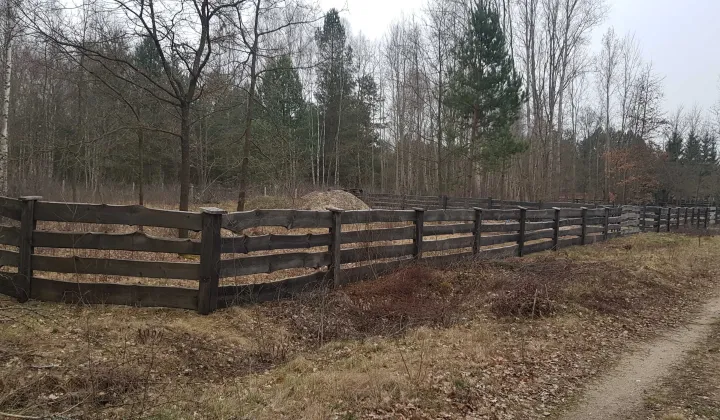 Działka budowlana Siedlów