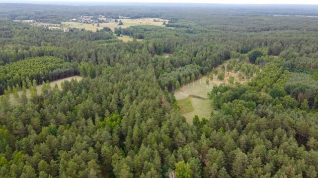 Działka rolna Dzierniakowo. Zdjęcie 6