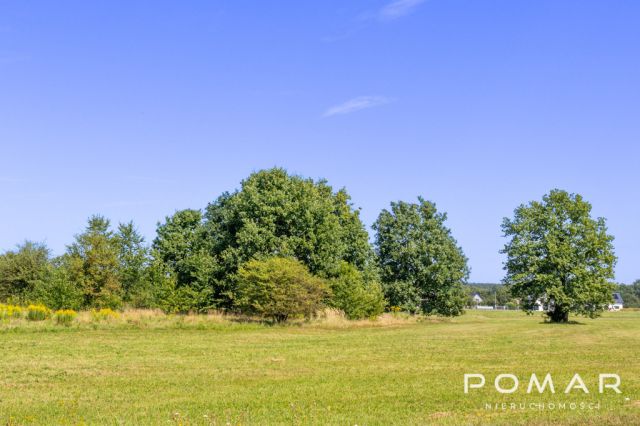 Działka Nędza, ul. Gliwicka. Zdjęcie 3