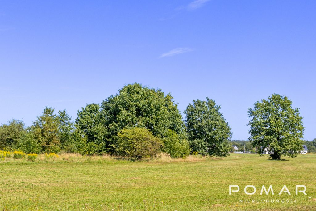 Działka Nędza, ul. Gliwicka. Zdjęcie 3